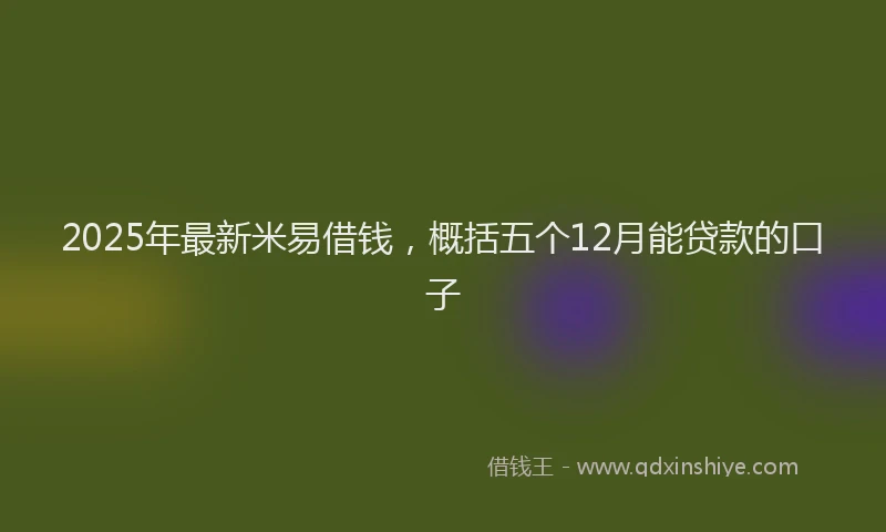 2025年最新米易借钱，概括五个12月能贷款的口子