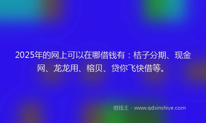 2025年的网上可以在哪借钱有：桔子分期、现金网、龙龙用、榕贝、贷你飞快借等。