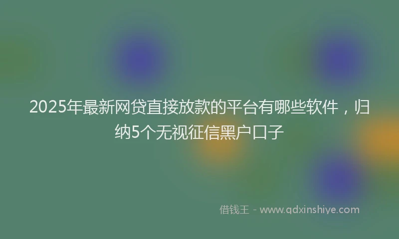 2025年最新网贷直接放款的平台有哪些软件，归纳5个无视征信黑户口子