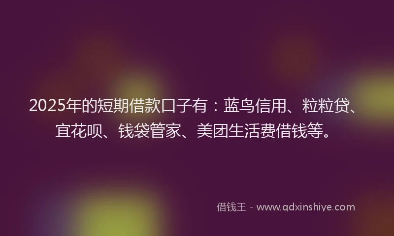2025年的短期借款口子有：蓝鸟信用、粒粒贷、宜花呗、钱袋管家、美团生活费借钱等。