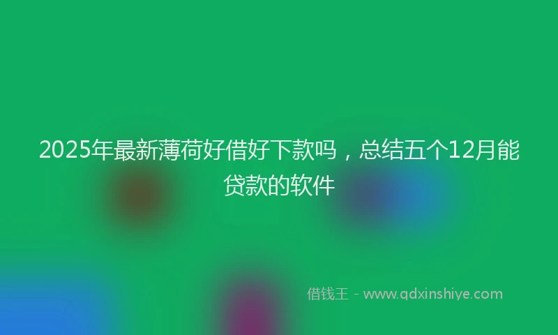2025年最新薄荷好借好下款吗，总结五个12月能贷款的软件