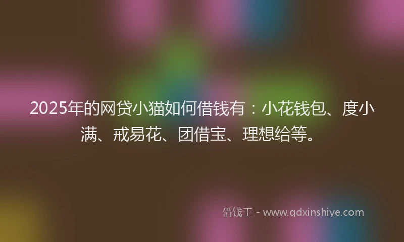 2025年的网贷小猫如何借钱有：小花钱包、度小满、戒易花、团借宝、理想给等。