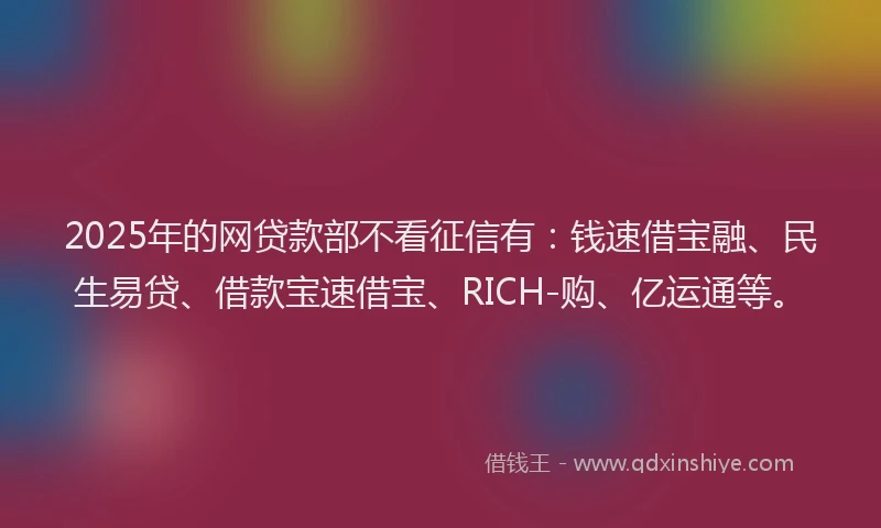 2025年的网贷款部不看征信有：钱速借宝融、民生易贷、借款宝速借宝、RICH-购、亿运通等。