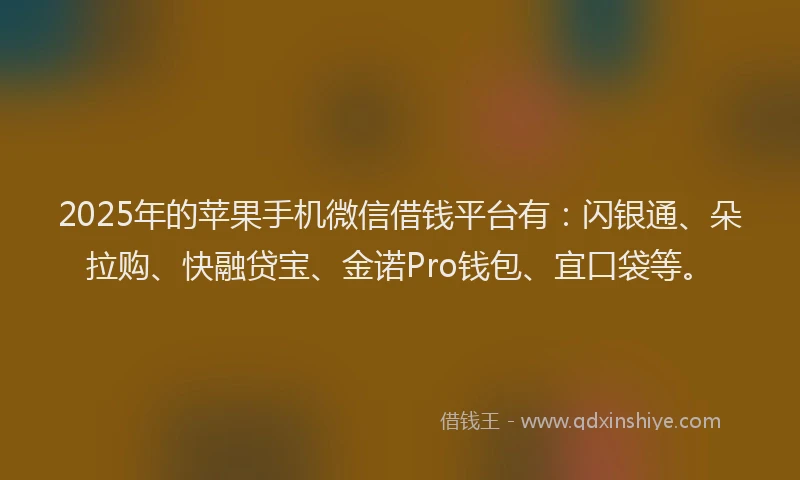 2025年的苹果手机微信借钱平台有：闪银通、朵拉购、快融贷宝、金诺Pro钱包、宜口袋等。