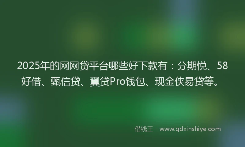 2025年的网网贷平台哪些好下款有：分期悦、58好借、甄信贷、翼贷Pro钱包、现金侠易贷等。