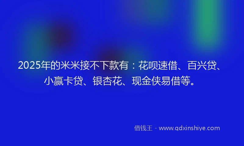 2025年的米米接不下款有：花呗速借、百兴贷、小赢卡贷、银杏花、现金侠易借等。
