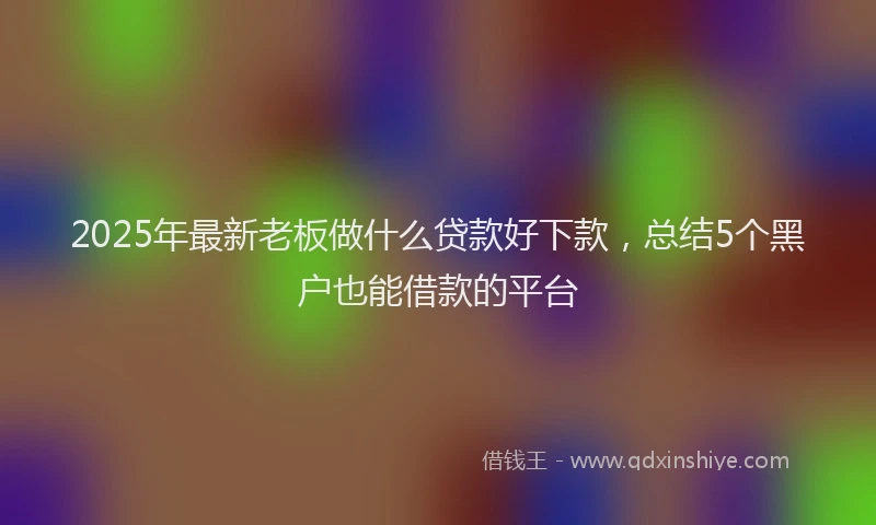 2025年最新老板做什么贷款好下款，总结5个黑户也能借款的平台