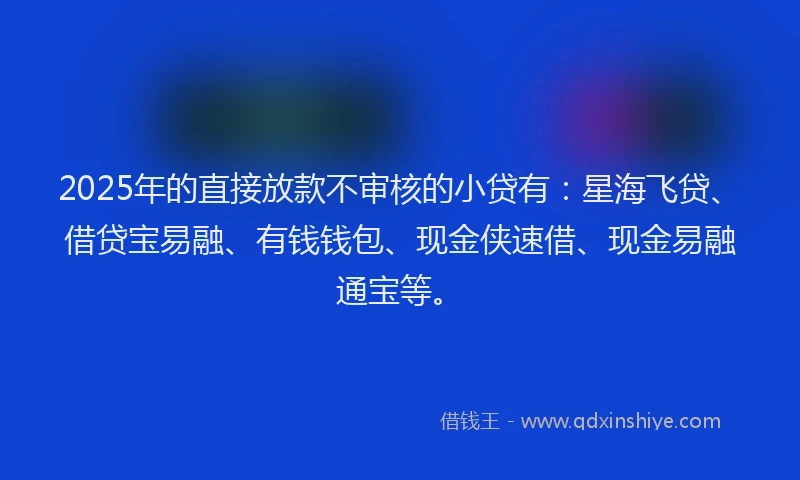 2025年的直接放款不审核的小贷有：星海飞贷、借贷宝易融、有钱钱包、现金侠速借、现金易融通宝等。