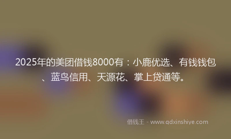 2025年的美团借钱8000有：小鹿优选、有钱钱包、蓝鸟信用、天源花、掌上贷通等。