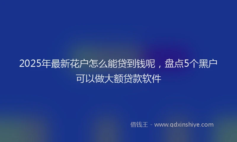2025年最新花户怎么能贷到钱呢，盘点5个黑户可以做大额贷款软件