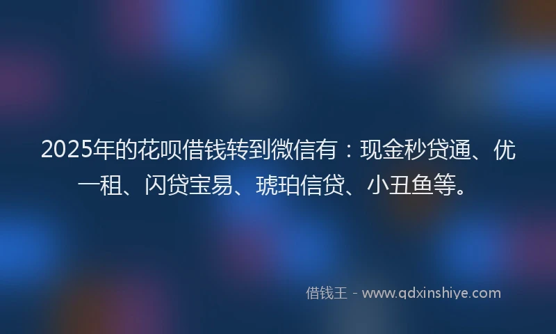 2025年的花呗借钱转到微信有：现金秒贷通、优一租、闪贷宝易、琥珀信贷、小丑鱼等。