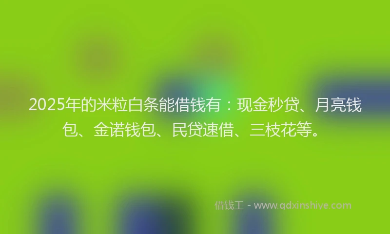 2025年的米粒白条能借钱有：现金秒贷、月亮钱包、金诺钱包、民贷速借、三枝花等。