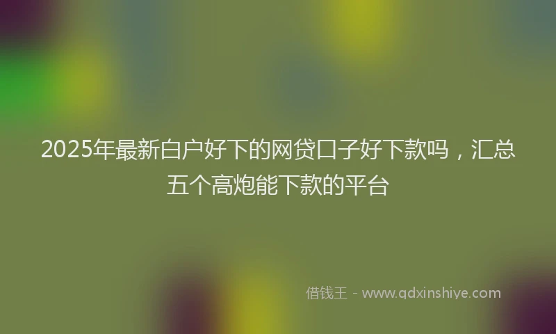 2025年最新白户好下的网贷口子好下款吗，汇总五个高炮能下款的平台