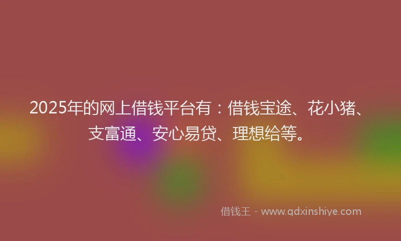 2025年的网上借钱平台有：借钱宝途、花小猪、支富通、安心易贷、理想给等。