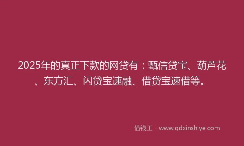 2025年的真正下款的网贷有：甄信贷宝、葫芦花、东方汇、闪贷宝速融、借贷宝速借等。