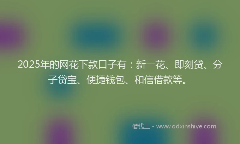 2025年的网花下款口子有：新一花、即刻贷、分子贷宝、便捷钱包、和信借款等。
