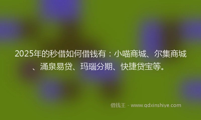 2025年的秒借如何借钱有：小喵商城、尔集商城、涌泉易贷、玛瑙分期、快捷贷宝等。