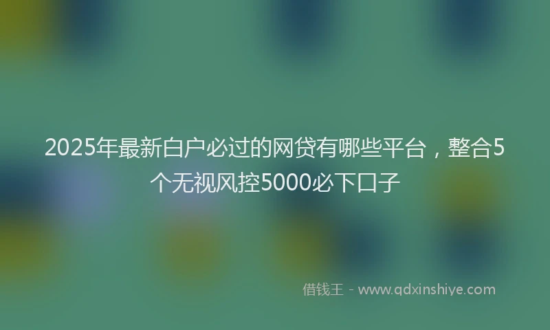 2025年最新白户必过的网贷有哪些平台，整合5个无视风控5000必下口子