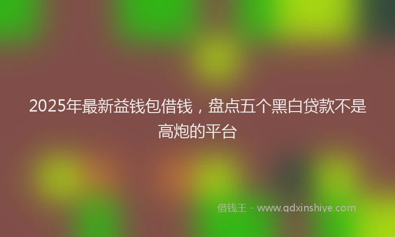 2025年最新益钱包借钱，盘点五个黑白贷款不是高炮的平台