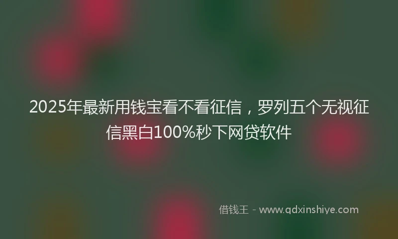 2025年最新用钱宝看不看征信，罗列五个无视征信黑白100%秒下网贷软件