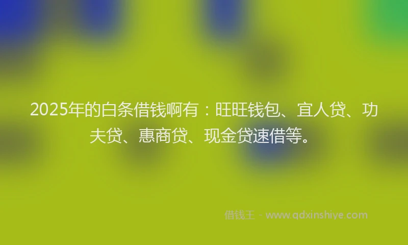 2025年的白条借钱啊有：旺旺钱包、宜人贷、功夫贷、惠商贷、现金贷速借等。