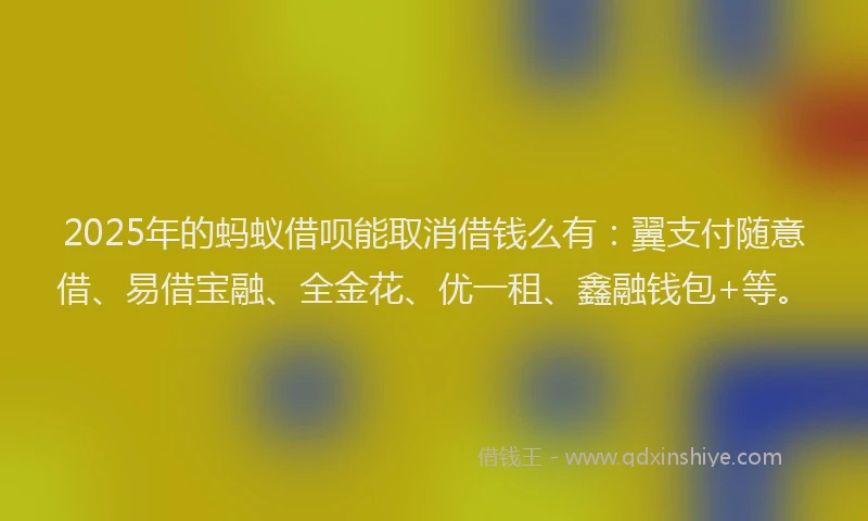 2025年的蚂蚁借呗能取消借钱么有：翼支付随意借、易借宝融、全金花、优一租、鑫融钱包+等。