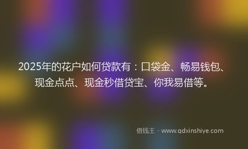 2025年的花户如何贷款有：口袋金、畅易钱包、现金点点、现金秒借贷宝、你我易借等。