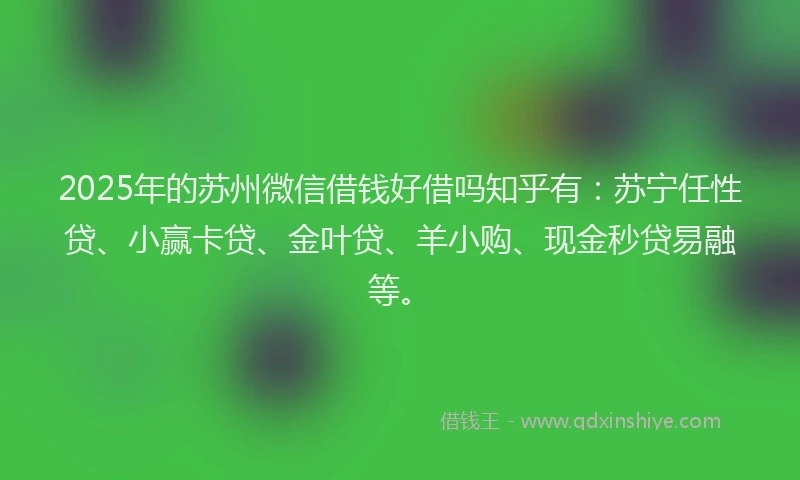 2025年的苏州微信借钱好借吗知乎有：苏宁任性贷、小赢卡贷、金叶贷、羊小购、现金秒贷易融等。