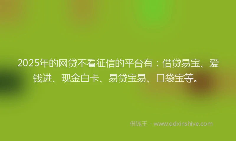 2025年的网贷不看征信的平台有：借贷易宝、爱钱进、现金白卡、易贷宝易、口袋宝等。