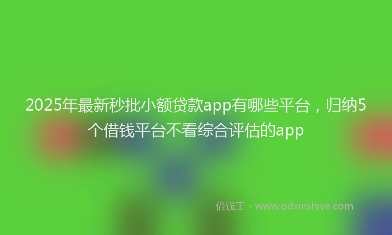 2025年最新秒批小额贷款app有哪些平台，归纳5个借钱平台不看综合评估的app