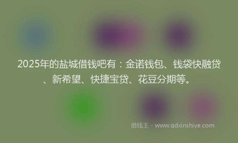 2025年的盐城借钱吧有：金诺钱包、钱袋快融贷、新希望、快捷宝贷、花豆分期等。