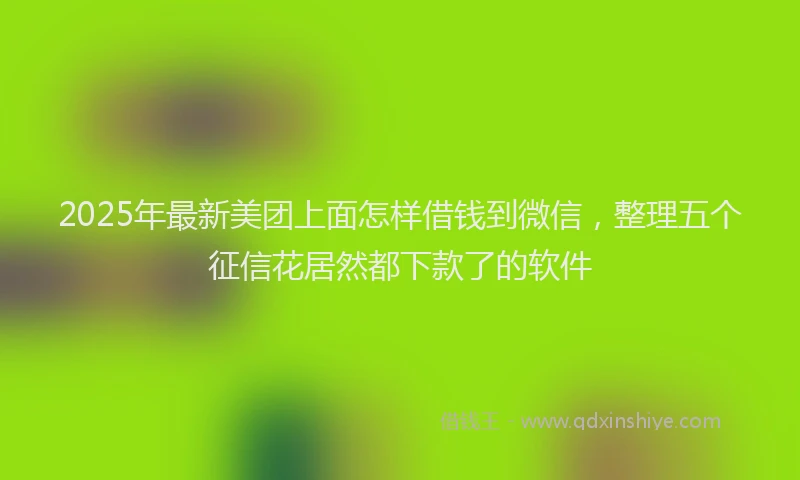 2025年最新美团上面怎样借钱到微信，整理五个征信花居然都下款了的软件