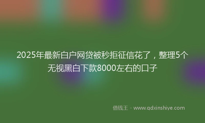 2025年最新白户网贷被秒拒征信花了，整理5个无视黑白下款8000左右的口子