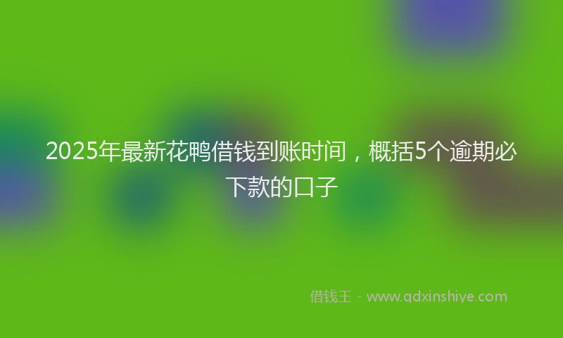 2025年最新花鸭借钱到账时间，概括5个逾期必下款的口子