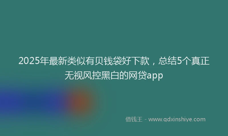 2025年最新类似有贝钱袋好下款，总结5个真正无视风控黑白的网贷app