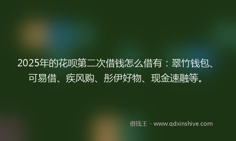 2025年的花呗第二次借钱怎么借有：翠竹钱包、可易借、疾风购、彤伊好物、现金速融等。