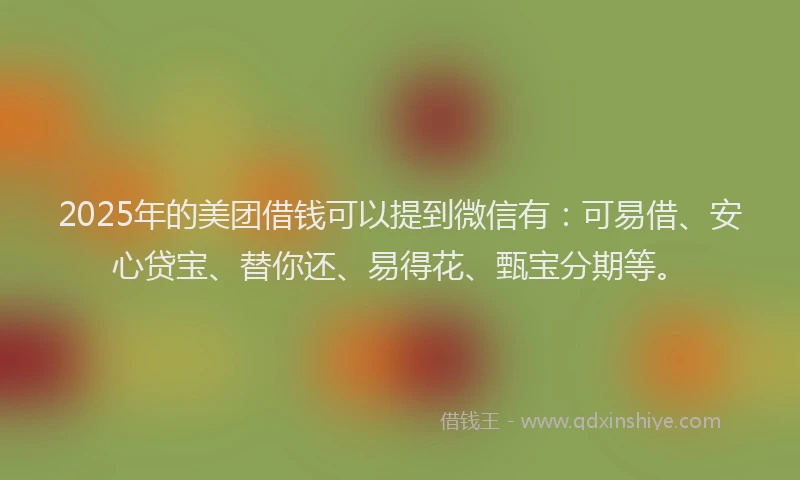 2025年的美团借钱可以提到微信有：可易借、安心贷宝、替你还、易得花、甄宝分期等。