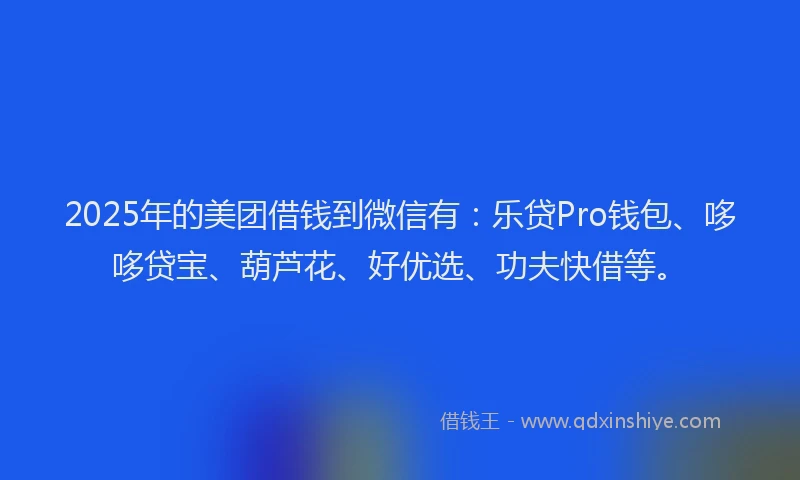 2025年的美团借钱到微信有：乐贷Pro钱包、哆哆贷宝、葫芦花、好优选、功夫快借等。