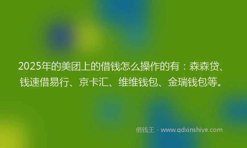 2025年的美团上的借钱怎么操作的有：森森贷、钱速借易行、京卡汇、维维钱包、金瑞钱包等。