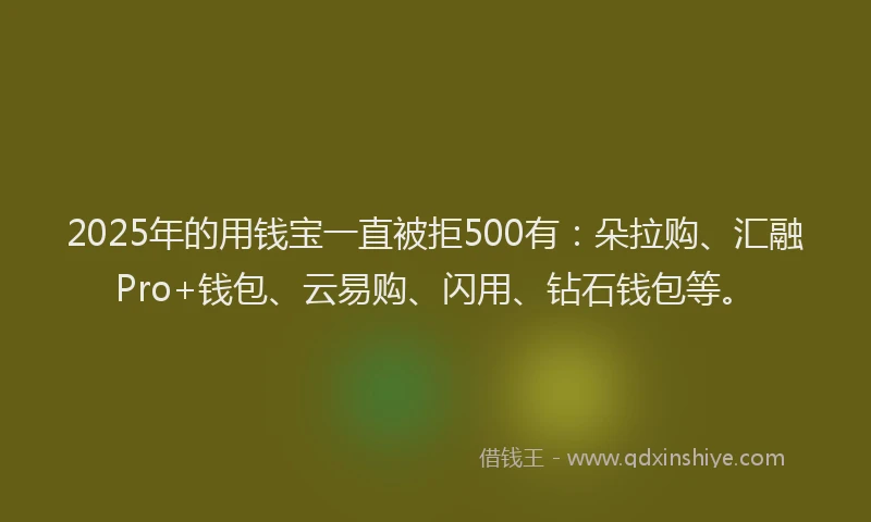 2025年的用钱宝一直被拒500有：朵拉购、汇融Pro+钱包、云易购、闪用、钻石钱包等。