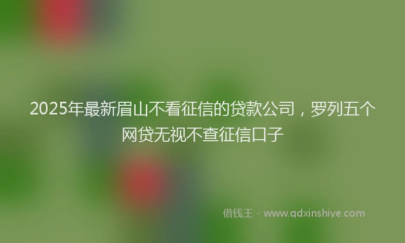 2025年最新眉山不看征信的贷款公司，罗列五个网贷无视不查征信口子