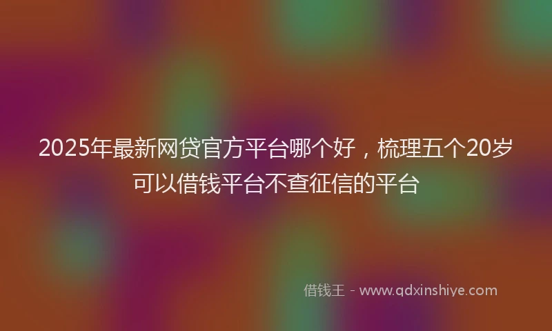 2025年最新网贷官方平台哪个好，梳理五个20岁可以借钱平台不查征信的平台