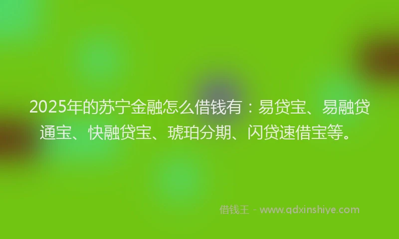 2025年的苏宁金融怎么借钱有：易贷宝、易融贷通宝、快融贷宝、琥珀分期、闪贷速借宝等。