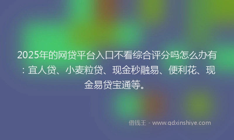 2025年的网贷平台入口不看综合评分吗怎么办有：宜人贷、小麦粒贷、现金秒融易、便利花、现金易贷宝通等。