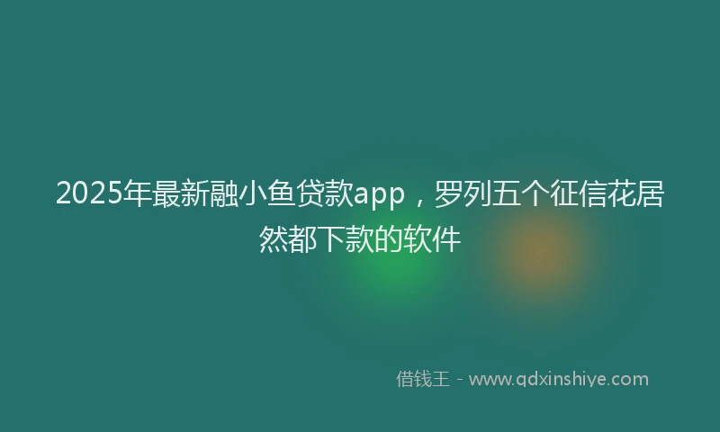 2025年最新融小鱼贷款app，罗列五个征信花居然都下款的软件