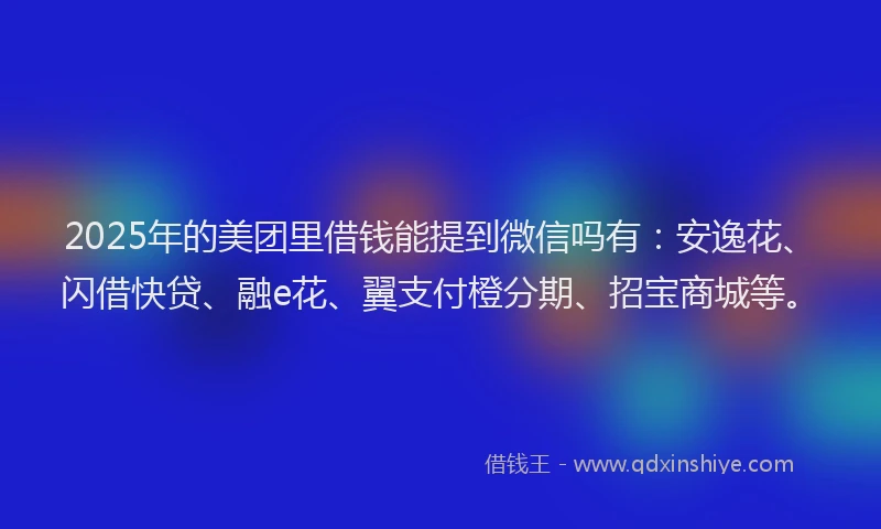 2025年的美团里借钱能提到微信吗有：安逸花、闪借快贷、融e花、翼支付橙分期、招宝商城等。