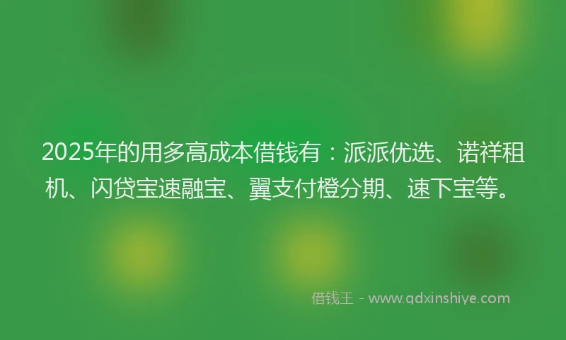2025年的用多高成本借钱有：派派优选、诺祥租机、闪贷宝速融宝、翼支付橙分期、速下宝等。