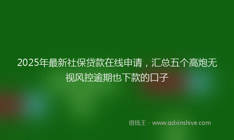 2025年最新社保贷款在线申请，汇总五个高炮无视风控逾期也下款的口子