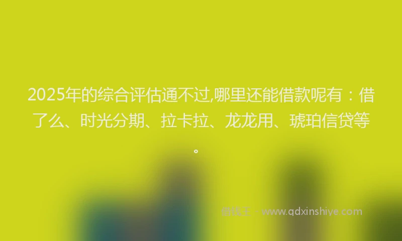 2025年的综合评估通不过,哪里还能借款呢有：借了么、时光分期、拉卡拉、龙龙用、琥珀信贷等。