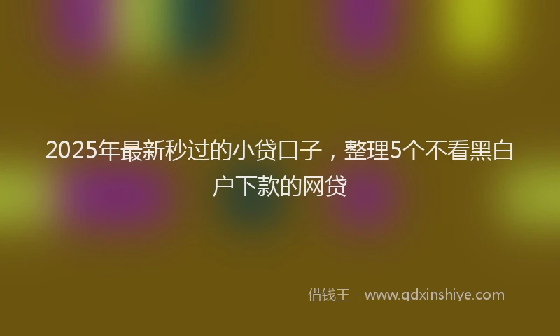2025年最新秒过的小贷口子，整理5个不看黑白户下款的网贷